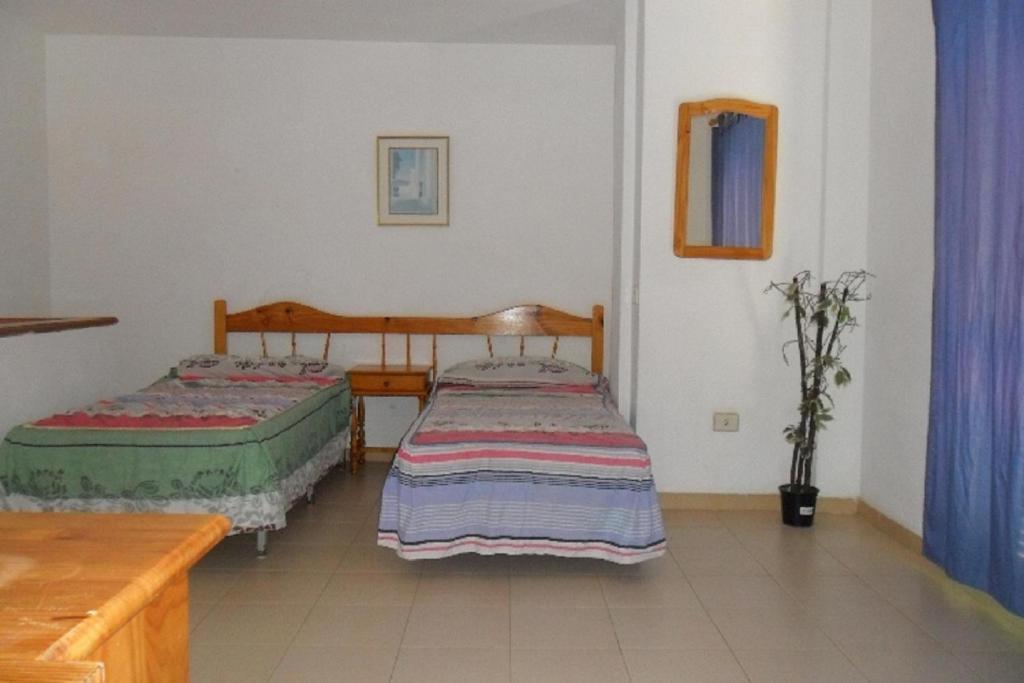 Apartamentos Alondras Park 德尔锡伦西奥海岸 外观 照片